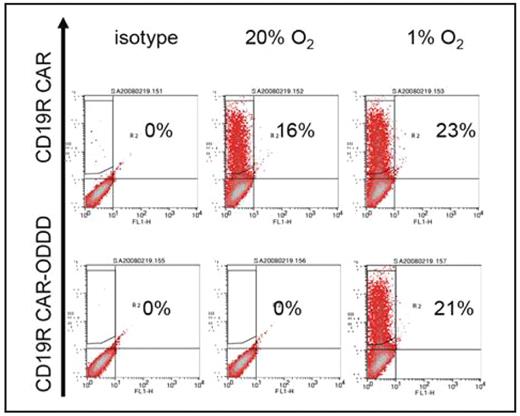 Figure:. Flow cytometry expression of CAR under normoxia and hypoxia.