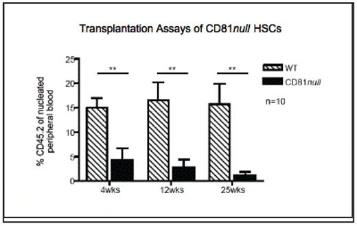 Figure 2. CD8KO HSCs fail to engraft in the secondary competitive transplantation assay, indicating a self-renewal defect. In this assay, 300 donor-derived HSCs (CD45.2 SPKLS) were purified from the primary recipients and transplanted along with 2×105 competitors into lethally irradiated mice (**p<0.01).