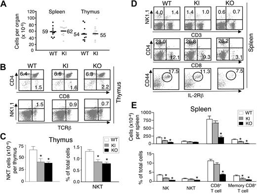 Figure 3. Lymphoid organ cellularities and lymphocyte staining in WT, KI, and KO mice. (A) Total cellularity was counted in spleen and thymus from multiple experiments using age- and sex-matched littermates. The values shown are from both male and female mice between 8 and 16 weeks of age. Horizontal bars and numbers shown represent the mean value of each group. (B) Thymocytes from individual WT, KI, and KO mice were analyzed for expression of T cell (CD4+/CD8+) and NKT cell (NK1.1+ TCRβ+) markers by flow cytometry (n = 3/group; 8-12 weeks of age). The numbers shown represent the percentages of cells in each quadrant. The results shown are representative of 3 experiments. (C) Absolute numbers and percentage of thymic NKT cells from WT, KI, and KO mice. Means plus or minus SEM are shown. Statistical analysis was performed by one-way analysis of variance (ANOVA) using Prism. *P < .05 when compared with WT. (D) Splenocytes from WT, KI, and KO mice were analyzed for expression of NK cells (NK1.1+CD3−), NKT cells (NK1.1+CD3+), T cells (CD4+/CD8+) and memory CD8+ T cells (cells were gated on CD8+ CD3+ then gated on CD44highIL-2Rβ+; n = 3/group; 8-12 weeks of age). Numbers shown represent the percentage of cells in each quadrant or gate. The results shown are representative of 3 experiments. (E) Absolute numbers and percentage of splenic NK, NKT, CD8+ cells, and memory CD8+ T cells from WT, KI, and KO mice. Means plus or minus SEM are shown. Statistical analysis was performed by one-way ANOVA using Prism. *P < .05 when compared with WT.