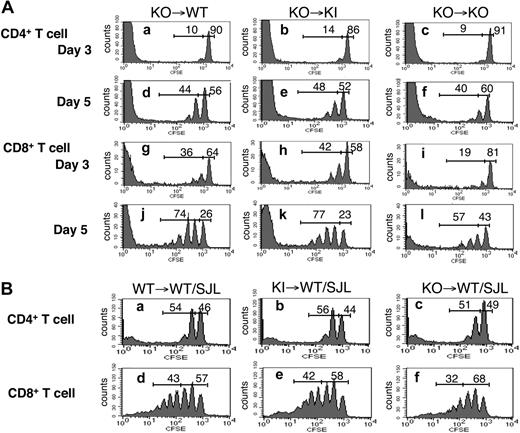 Figure 6. Adoptive transfer of T cells to WT, KI, or KO host mice. (A) CFSE-labeled T cells from KO mice were injected into irradiated WT, KI, or KO mice (5 × 106 cells each). On days 3 and 5, splenocytes from host mice were stained for CD4+/CD8+ subsets. Proliferation of transferred CD4+/CD8+ T cells was visualized by CFSE dilution. Data are representative of 4 mice/group. (B) CFSE-labeled T cells from WT, KI, or KO mice were injected into irradiated WT B6.SJL congenic mice (8 × 106 cells each). On day 6, splenocytes were isolated from host mice and stained for CD45.2, CD4, and CD8. Cells were gated on CD45.2+ to exclude endogenous T cells. Proliferation of transferred CD4+/CD8+ T cells was visualized by CFSE dilution. Data are representative from 5 mice/group.
