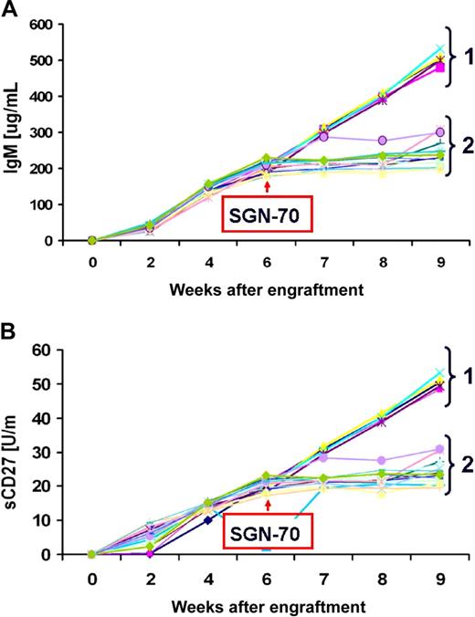 Figure 6. Treatment of WM SCID-hu mice with SGN-70. Effect of SGN-70 on disease progression as assessed by serial changes in serum IgM (A) and sCD27 (B) levels in SCID-hu mice engrafted with BCWM.1 WM LPCs. Group 1 denotes untreated mice (n = 5), and group 2 denotes mice treated with SGN-70 (n = 12).
