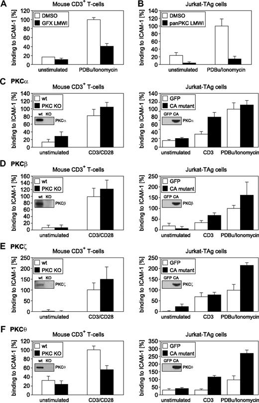 Figure 1. PKC pathways required for CD3+ T-cell adhesion. Adhesion responses of primary CD3+ (A) and Jurkat (B) T cells in the presence of GF109203X or pan-PKC LMWI.21 The PKC inhibitors significantly reduced binding of T cells to ICAM-1 compared with dimethylsulfoxide (DMSO) controls (DMSO, n = 3; LMWI at 500 nM, n = 3; split-plot ANOVA, P = .013). (C-F) (Left panels) Activation-dependent adhesion of LFA-1 to ICAM-1 in CD3+ T cells derived from wt and PKC isotype-deficient mice. (Right panels) Adhesion of LFA-1 to ICAM-1 in Jurkat T cells expressing CA PKC isotype mutants.22,63 After a 30-minute incubation with medium or stimuli (CD3, CD3/CD28, or PDBu plus ionomycin, as indicated), T cells were analyzed. (Insets) Immunoblots of KO, wt, or transfected T cell lysates, as indicated. Binding to ICAM-1 was reduced significantly in PKC-θ KO CD3+ T cells compared with wt controls (PKC-θ+/+, n = 6; PKC-θ−/−, n = 6; split-plot ANOVA, P = .035). Under CD3-stimulated conditions, the binding of Jurkat T cells transfected with the PKC-θ CA mutant to ICAM-1 was higher than that of the GFP-transfected control but was just above the 0.5% significance level (GFP, n = 5; CA-PKC-θ, n = 5; split-plot ANOVA, P = .052). Results shown are the mean plus or minus SE of at least 3 independent experiments.