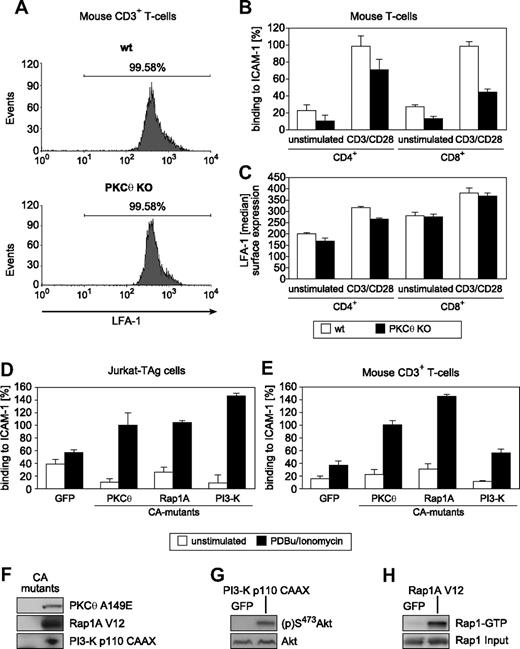 Figure 2. T-cell adhesion depends on PKC-θ function. (A) Flow cytometric analysis of LFA-1 expression on wt and PKC-θ KO T cells. (B) Altered activation-dependent adhesion to ICAM-1 through LFA-1 in the PKC-θ–deficient CD4+ and CD8+ subsets. (C) Intact surface expression levels of LFA-1 in the PKC-θ–deficient CD4+ and CD8+ subsets. (D,E) Adhesion-stimulatory activities of the transiently transfected with GFP control or CA mutants PKC-θ A149E, Rap1A V12, and p110-CAAX in Jurkat (D) and primary CD3+ (E) T cells with or without PDBu/ionomycin stimulation. Results shown are the mean plus or minus SD of at least 3 independent experiments. (F,G) As experimental controls, both immunoblot for the transfected CA mutant proteins p110-CAAX and Rap1A V12, and the (p)S473 status of the PI3-K effector Akt/PKB or Rap1-GTP loading of the recombinant Rap1A V12 mutant, respectively, in lysates from unstimulated Jurkat cells are shown.