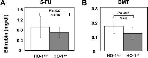 Figure 6. Decreased total plasma bilirubin (milligrams per deciliter) levels in (A) 5-FU–treated HO-1+/− mice or (B) recipients of HO-1+/− BM cells. Levels of total plasma bilirubin in HO-1+/− or HO-1+/+ mice at day 8 after receiving a single dose of 5-FU (150 mg/kg, intraperitoneally) and in the recipients of 2 × 106 HO-1+/− or HO-1+/+ BM cells at day 22 day after BM transplantation. P values were calculated using one-tailed t test.