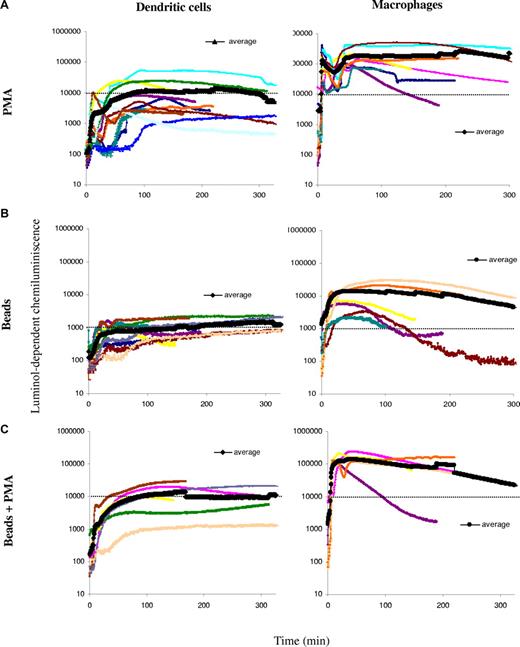 Figure 2. ROS production in human DCs and MØs. ROS production was measured over time using luminol-dependent chemiluminiscence, after stimulation with PMA and/or phagocytosis of luminol-coated beads in DCs (left panels) and MØs (right panels) generated in parallel from a series of healthy volunteers. Thick lines show the average of all experiments. (A) Total ROS production after cell stimulation with 0.5 μg/mL PMA in DCs or MØs from the same donors. (B) DC and MØ phagosomal ROS production after a 15-minute pulse with luminol-coated beads. (C) DC and MØ phagosomal ROS production after a 15-minute pulse with luminol-coated beads followed by the addition of 0.5 μg/mL PMA.