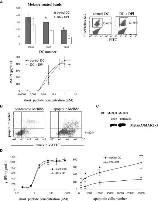 Figure 4. Efficient cross-presentation of melanoma particulate antigens requires NOX2 activity. (A) Control HLA-A2–positive DCs (gray) and DPI-treated DCs (white) were pulsed with either MelanA/MART-1 long peptides coated to latex beads (top left panel) or MelanA/MART-1 short peptides (bottom panel). DCs were pretreated with 10 μM DPI 30 minutes before the pulse and washed before the coculture with the CTL clone. The percentage of phagocytosis of FITC/FluoProbes 647 latex beads by control and DPI-treated DCs was assessed by FACS (top right panel). Cross-presentation was evaluated by measuring the production of IFN-γ by the HLA-A2–restricted CTL clone LT12 after DC-CTL coculture. (B) HLA-A2–negative Mel888 melanoma cells were treated overnight with oxaliplatin to induce apoptosis. Apoptosis and necrosis were quantified using annexin V–FITC and propidum iodide, respectively, by FACS. (C) Expression of MelanA/MART-1 in whole-cell lysates from apoptotic and nontreated Mel888 cells, assessed by Western blot. (D) Control HLA-A2–positive DCs (black) and DPI-treated DCs (white) were pulsed with either MelanA/MART-1 short peptides (left panel) or different numbers of apoptotic Mel888 cells, as described in “Methods.” Cross-presentation was evaluated as indicated.