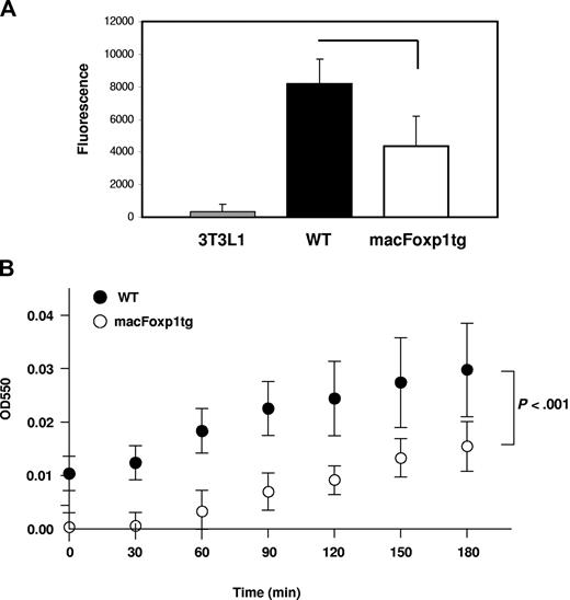 Figure 3. Phagocytosis and ROS production are reduced in macFOXP1tg macrophages. (A) Phagocytic capability of macrophages from wild-type and macFoxp1tg mice was measured using Vybrant Phagocytosis Assay Kit, as described in “Phagocytosis assay.” Phagocytosis of fluorescein-labeled E coli K-12 BioParticles was quantified by measuring intracellular fluorescence emitted by engulfed particles. Extracellular fluorescence was quenched by trypan blue. NIH 3T3-L1 fibroblasts were included as nonphagocytic control. Data represent mean plus or minus SD from 4 to 5 individual mice per genotype. (B) Superoxide production was detected using a standard assay involving the reduction of cytochrome c in the presence and absence of superoxide dismutase. Data represent the mean plus or minus SD from macrophages isolated from 5 mice per genotype. P value represents 2-way ANOVA.