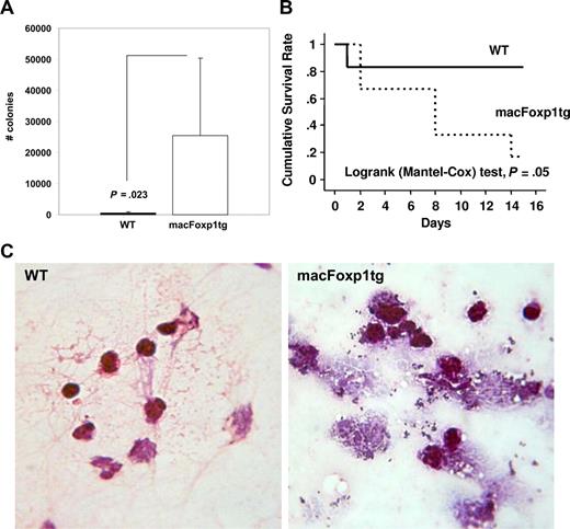 Figure 5. Reduced bacterial clearance and survival in macFOXP1tg mice. (A) Bacterial colony counts (mean ± SD) per 100 μL peritoneal lavage fluid 2 days after intraperitoneal inoculation of S aureus bacteria (30 × 106) into the peritoneal cavity of wild-type (n = 11) and macFOXP1tg (n = 12) mice. (B) Gram stain of peritoneal lavaged fluid 2 days after intraperitoneal inoculation of S aureus (original magnification ×40/0.65). (C) Kaplan-Meier survival curves in wild-type (n = 6) and macFOXP1tg (n = 6) mice after intraperitoneal inoculation of S aureus (80 × 106) bacteria.