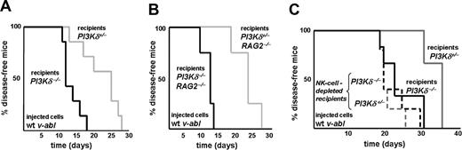 Figure 3. Mice deficient for PI3Kδ develop leukemia significantly faster. (A) Kaplan-Meier plot of PI3Kδ+/− and PI3Kδ−/− recipient animals after injection of wt v-abl–transformed cells. PI3Kδ−/− recipient mice developed disease significantly earlier when compared with their PI3Kδ+/− littermate controls (log-rank test; P = .003; n = 7 for each group; 3 independently derived cell lines were injected). (B) Kaplan-Meier plot of PI3Kδ+/− and PI3Kδ−/− recipients on a RAG2−/− background after injection of wt v-abl–transformed cells. Again, PI3Kδ−/− recipients succumbed significantly earlier to disease than PI3Kδ+/− littermate controls (log-rank test; P = .007; n = 4 for each group). (C) Kaplan-Meier plot of 10 PI3Kδ+/− and 10 PI3Kδ−/− recipient animals after injection of wt v-abl–transformed cells. A total of 5 animals of each group received anti-NK1.1 antibody to deplete NK cells (dashed lines). In the absence of NK-cell depletion, PI3Kδ−/− recipient mice again developed disease significantly earlier when compared with their PI3Kδ+/− littermate controls (solid lines; log-rank test; P = .03). This difference was lost upon NK-cell depletion (dashed lines; log-rank test; P = .61; n = 5 for each group).