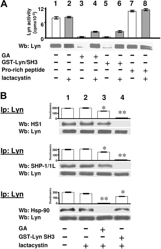 Figure 5. Stabilization of cytosolic Lyn complex by synergic cooperation of SH3 and catalytic domains. Cytosol from freshly isolated B-CLL cells lysed by sonication was subjected to the separation procedure described in Figure 2A and treated without or with 0.1 μM GA, 0.1 μM GST/SH3-Lyn, and 0.1 μM Pro-rich peptide, respectively, in the absence or presence of 10 μM lactacystin for 1 hour at 37°C. (A) Aliquots of each treated sample were analyzed for in vitro Lyn activity on Src-specific peptide substrate cdc2(6-20) and by Western blotting for Lyn. (B) Aliquots of each sample were immunoprecipitated with anti-Lyn antibody and the immunocomplexes probed with anti-HS1, anti–SHP-1/1L, and anti-Hsp90 antibodies, respectively. Blots were then stripped and reprobed with anti-Lyn antibody. The bar graph above the blot panels represents the values of a densitometric analysis (arbitrary units) of anti-HS1, anti–SHP-1/1L, and anti-Hsp90 bands, expressed as mean plus or minus SD. The statistical analyses were performed using a one-way analysis of variance with posttest, and the significance is indicated as a P value. *P < .05, **P < .001, compared with control (bar 1). Data are representative of experiments performed in triplicate on samples from 16 B-CLL patients.