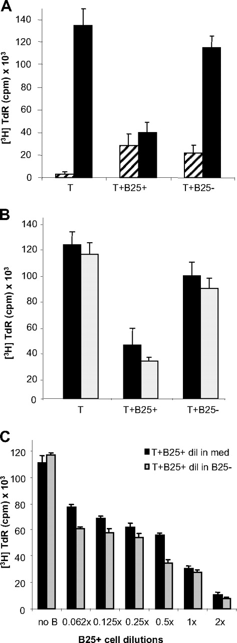 Figure 2. The large CD25+ B cells mediate suppression of activated Th cells. (A) Proliferation assay of cCD3-stimulated Th cells alone or in presence of lgB25+ or smB25− cells after 4 days in presence (■) or absence (▨) of IL-2. Bars represent mean of 9 independent experiments plus or minus SEM. (B) Proliferation of prestimulated () or freshly isolated (■) Th cells in presence of lgB25+ or smB25−B cells after 4-day culture with IL-2. Mean plus or minus SEM of 3 representative experiments. (C) Proliferation of Th cells in presence of different concentrations of lgB25+ cells, diluted in cell culture media (■) or in B25− cells (). Data expressed as mean plus or minus SEM of triplicates from one representative experiment.