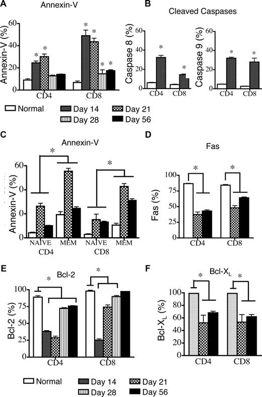 Figure 1. Peripheral apoptosis delays T-cell reconstitution after allogeneic TCD-BMT. Lethally irradiated (1100 cGy) 8- to 10-week-old LP mice were transplanted with 5 × 106 TCD B6 BM and harvested at various intervals after transplantation. LP mice that did not receive transplants were also analyzed. Values represent mean (± SEM). n = 5-10 mice per group, results from 2 or more independent experiments. Donor B6 cells were gated as Ly9.1-negative because of the allelic difference between the B6 and LP strains. (A) Splenic donor T cells were gated as Ly9.1− cells, and apoptosis was determined by annexin-V staining on days 14, 21, 28, and 56 after transplantation and in control animals that did not receive transplants. (B) Cleaved caspase 8 and 9 activity in donor Ly9.1− T cells and control animals that did not receive transplants was determined on day 14 after transplantation. (C) Donor-derived Ly9.1− naive (CD44lo) and effector/memory (CD44hi) T cells were analyzed by annexin-V staining on days 14 and 56 after transplantation. Control animals that did not receive transplants were also analyzed. (D) Cell surface Fas expression on donor-derived Ly9.1− splenic CD4+ and CD8+ T cells was determined at days 21 and 56 after transplantation. Control animals that did not receive transplants were also analyzed. (E) Intracellular levels of Bcl-2 in donor Ly9.1− CD4+ and CD8+ T cells were determined on days 14, 21, 28, and 56 after transplantation. Control animals that did not receive transplants were also analyzed. (F) Intracellular levels of Bcl-XL in donor Ly9.1− CD4+ and CD8+ T cells were determined at days 14 and 56 after transplantation. Control animals that did not receive transplants were also analyzed.
