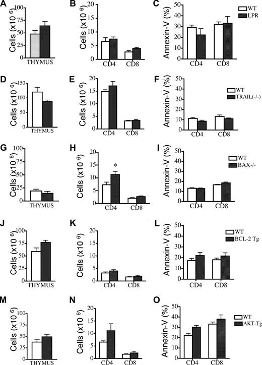 Figure 3. Deficiency in Fas, TRAIL, or Bax or overexpression of Bcl-2 and Akt cannot modulate peripheral T-cell apoptosis in recipients of allogeneic TCD-BMT. Lethally irradiated (1100 cGy) LP or (1300 cGy) C3FeB6F1 mice were transplanted either with 5 × 106 TCD B6 BM (WT) or TCD BM from B6 background Fas-, Bax-, and TRAIL-deficient or Bcl-2– and Akt-transgenic mice. All recipients were analyzed on day 28 after transplantation. Values represent mean (± SEM). n = 5-15 mice per group. (A-O) Thymic cellularity, numbers of peripheral donor-derived CD4+ and CD8+ T cells, and levels of peripheral T-cell apoptosis were determined. Donor cells were defined as Ly9.1− cells.