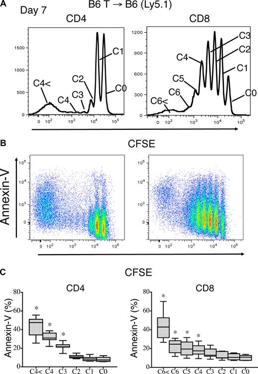 Figure 6. Rapid spontaneous proliferation of nonalloreactive donor T cells enhances peripheral apoptosis. Lethally irradiated (1100 cGy) B6 Ly5.1 recipients were transplanted with 2 × 107 CFSE-labeled B6 purified T cells. (A) Apoptosis of donor (Ly5.2+) T cells as defined by annexin V staining was measured on day 7 after adoptive transfer. Top histograms reveal the CD4+ and CD8+ T-cell proliferation pattern. (B) Annexin V staining on proliferating donor CD4+ and CD8+ T cells is shown. (C) The mean percentages of apoptotic, annexin V+ T cells with data from 5 combined independent experiments is shown (n = 7).