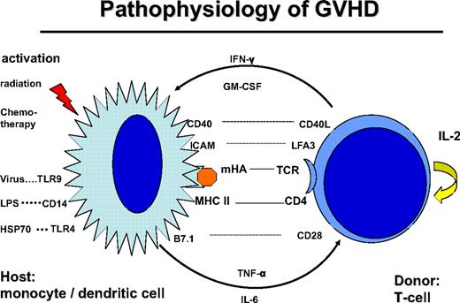 Figure 1. Pathophysiology of GVHD: the donor T cell is encountering a host antigen-presenting cell (APC: monocyte/dendritic cell). The APC is activated by the conditioning treatment with radiation and chemotherapy; kit may also be activated by infections: viral via Toll-like receptor-9 (TLR9), bacterial infection via lipopolysaccharide (LPS), CD14, and TLR4. The interaction is regulated by recognition of mHA in the context with CD4 and HLA class II. The reaction is stimulated by costimulatory molecules CD40-CD40 ligand, B7.1-CD28, and adhesion molecules ICAM and LFA3. Cytokine secretion includes tumor necrosis factor-α and IL-6 by the APC and IFN-γ and GM-CSF by the T cell.
