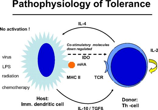 Figure 4. Graft-versus-host tolerance: donor T cells and “immature” host DCs are nonstimulatory. IL-10 and transforming growth factor-β are produced by the DC and IL-4 by the T cell; no costimulatory molecules are expressed by indoleamin 2,3 deoxygenase is released. This peripheral tolerance is maintained as long as there is no conditioning treatment with radiation or chemotherapy and no infection that may activate the DCs.