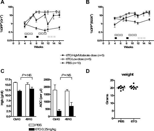 Figure 6. HPRT knockdown and 6TG treatment potently select for gene-modified hematopoietic progenitor cells in mice. Primary BM cells were harvested from donor mice, transduced with CtrlG and 491G vectors, and transplanted into recipient mice. Peripheral blood was periodically analyzed by flow cytometry. (A,B) The percentage of GFP+ cells within the Gr1+ (A) and B220+ (B) peripheral blood cell populations from recipients of 491G-transduced BM is plotted versus time. Note log scale. Five-day courses of treatment are indicated by □ (0.25 mg/kg per day), ■ (2 mg/kg per day), or (0.5 mg/kg per day). The number of 6TG-treated mice at weeks 14 and 16 in the high/moderate dosing experiment is 4 and 3, respectively, because of toxicity-related deaths. (C) Complete blood counts from mice in the low-dose experiment were performed at day 22 of cycle 2 (week 12). The hemoglobin concentration and absolute granulocyte counts (AGC) are depicted. AGC was calculated using the total white blood cell count multiplied by the fraction of Gr1+ cells as determined by flow cytometry. NS indicates not significant. (D) The weights of all PBS- and 6TG-treated mice were determined at day 22 of cycle 2 (week 12) in the low-dose experiment.