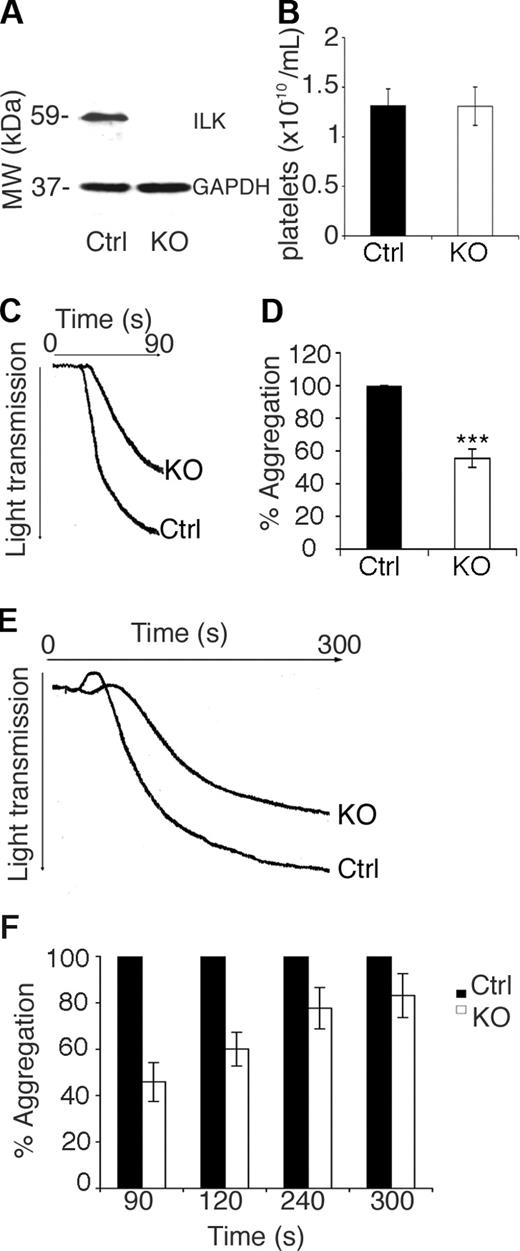 Figure 1. Aggregation is attenuated in ILK-deficient platelets. The levels of ILK protein in control (Ctrl) ILK(+/+):MxCre and KO mice ILK(lox/lox):MxCre at 8 days after pIpC injection were assessed by immunoblotting, and a GAPDH reprobe was used to check for equal loading (A). Platelet counts in whole blood from control (Ctrl) and KO are plotted (B; n = 4, P = .98). Washed platelets from ILK KO and control (Ctrl) mice were stimulated with collagen at a final concentration of 100 μg/mL. A representative aggregation trace is shown (C), and the percentage aggregation is plotted from 3 replicate experiments (D; n = 3, mean ± SEM; ***P < .005). Platelets in PRP from ILK KO and control (Ctrl) mice were matched for platelet number and stimulated with collagen at a final concentration of 100 μg/mL and monitored for 5 minutes. A representative aggregation trace is shown (E), and the percentage aggregation (where the control = 100%) is plotted from 3 replicate experiments (F; n = 3, mean ± SEM; all **P < .05).