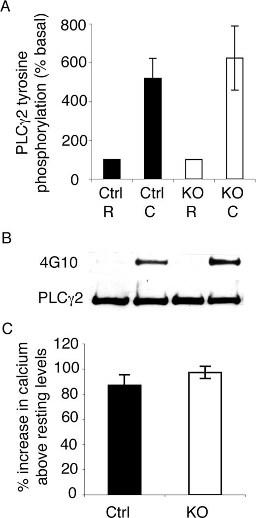 Figure 6. Early agonist induced signaling is unaffected by the absence of ILK. PLCγ2 immunoprecipitated from ILK-deficient and control (Ctrl) washed platelets was prepared from resting and collagen-stimulated (100 μg/mL 90 seconds) samples. Samples were immunoblotted for tyrosine phosphorylation, stripped, and reprobed for PLCγ2 loading levels, and densitometric analysis was carried out (A; mean ± SEM, n = 3; P = .44). A representative blot of PLCγ2 and tyrosine phosphorylation (4G10) levels is shown (B). Calcium mobilization in Fluo-4AM– labeled control (Ctrl) and ILK-deficient platelets was monitored in a Flexstation II, and change in fluorescence was expressed as the percentage increase in calcium from resting levels (mean ± SEM, n = 3; P = .16; C).