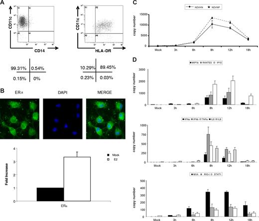 Figure 1. NDV-B1 infection induced strong response in dendritic cells. CD14+ cells isolated from fresh blood were cultured for 5 days in the presence of IL-4 and GM-CSF to differentiate into dendritic cells (DCs). (A) Monocyte-derived DCs expressed a classic DC profile: CD11c+ HLADR+ CD14−. Percentages are representative of 5 independent experiments. (B) 40× original magnification of ERα immunofluorescence in immature DCs (top panel). Levels of ERα mRNA measure by RT-PCR in mock-treated cells and with 24-hour E2 treatment (bottom panel). Data are presented as fold increase over mock treated, mean plus or minus SD, and results are representative of 3 independent experiments. (C) Viral proteins (NDV HN and NDV NP) measured by qRT-PCR in DCs after 0, 3, 6, 8, 12, and 18 hours of NDV-B1 infection. Data are representative of 3 independent experiments. (D) Cytokines, chemokines, and viral gene expression in DCs after 0, 3, 6,8,12, and 18 hours of NDV-B1 infection measured by qRT-PCR. Results are representative of 3 independent experiments.