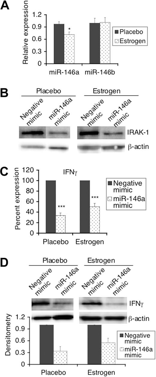 Figure 2. LPS-induced IFNγ in mouse splenic lymphocytes is regulated by the estrogen-regulated miRNA, miR-146a. (A) Total RNA was isolated from freshly isolated splenic lymphocytes using mirVana miRNA isolation kits. Relative expression levels of miR-146a and miR-146b between splenic lymphocytes from placebo- and estrogen-treated mice were analyzed using the Taqman miRNA assay system. The graph shows the means plus or minus SEM (n ≥ 6 each). (B-D) Freshly isolated splenic lymphocytes (1.5 × 107) from placebo- and estrogen-treated mice were transfected with either a negative mimic (control) or miR-146a mimic. Twenty-four hours after transfection, cells were left unstimulated (B) or stimulated with LPS for 24 hours (C,D), and then the supernatants and cell pellets were collected for analysis. (B) Western blot analysis of the expression of IRAK-1 in unstimulated cells at 48 hours after transfection. (C) The level of IFNγ in supernatants from LPS-stimulated miR-146a mimic transfected cells is shown as the percentage expression of negative control mimic transfected cells. Graph shows mean plus or minus SEM (n ≥ 6 each). (D) Western blot analysis of the expression of IFNγ in cell extracts from negative mimic and miR-146a mimic transfected cells stimulated with LPS. Representative Western blot images are shown from at least 3 independent experiments. Densitometry analysis of the IFNγ signal in blot images was performed using Kodak molecular imaging software (version 4.5) and normalized to the loading control β-actin. The graph shows relative density with means plus or minus SEM (n = 3 each). *P < .05; ***P < .001.