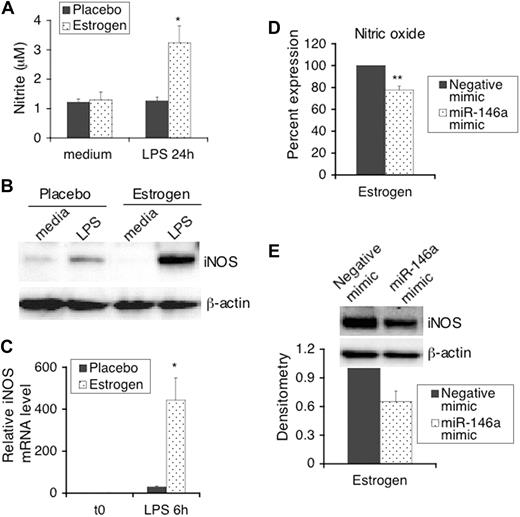 Figure 3. LPS-induced iNOS and nitric oxide in mouse splenic lymphocytes is enhanced by estrogen and regulated by miR-146a. An aliquot of 2.5 × 106 splenic lymphocytes (5 × 106/mL) from placebo- and estrogen-treated mice (n = 4 each) were stimulated with LPS or left unstimulated for 24 hours (medium only; A,B). Supernatants and cell pellets were collected for further analysis. (A) The production of nitric oxide in culture supernatants was determined with Griess assays. The graph shows means plus or minus SEM (n = 4 each). (B) Western blot analysis of the expression of iNOS in whole cell extracts. (C) The expression of iNOS mRNA in freshly isolated and 6 hours of LPS stimulated spenic lymphocytes was analyzed as indicated for Figure 1B. The graphs show the relative mRNA expression level with the means plus or minus SEM (n ≥ 3 each). (D) Freshly isolated splenic lymphocytes were transfected and stimulated with LPS as described for Figure 2B-D. The level of nitric oxide in supernatants from LPS-stimulated transfected cells was determined with Greiss assays. The graph shows means plus or minus SEM (n ≥ 6 each). (E) Western blot analysis of the expression of iNOS in cell extracts from negative mimic and miR-146a mimic transfected cells stimulated with LPS. Representative Western blot images are shown from at least 3 independent experiments. Densitometry analysis of iNOS signal detected by Western blotting was performed using Kodak molecular imaging software (version 4.5) and normalized to the loading control β-actin. The graph shows relative density with means plus or minus SEM (n = 4). *P < .05; **P < .01.
