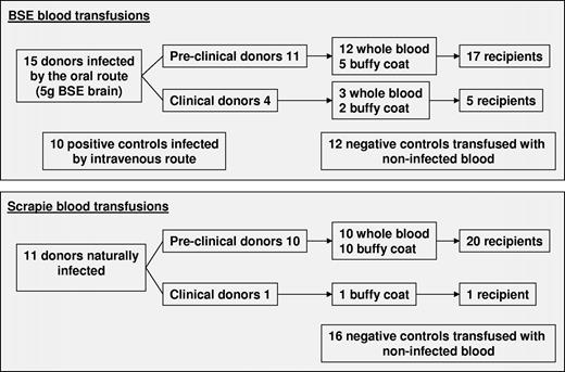Figure 1. Overview of experimental design.