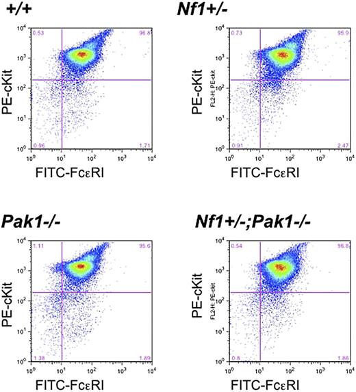 Figure 1. Loss of Pak1 does not affect expression of important mast cell maturation markers. Mast cells were cultured for 4 weeks, and expression of c-kit and FcϵRI was measured by incubation with anti-IgE followed by FITC-conjugated anti–mouse IgG, as well as PE-conjugated anti–c-kit antibodies. Double-positive cells (upper right quadrant) are mature mast cells, expressing both c-kit and FcϵRI. Data shown are representative of 6 independent lines from each genotype.
