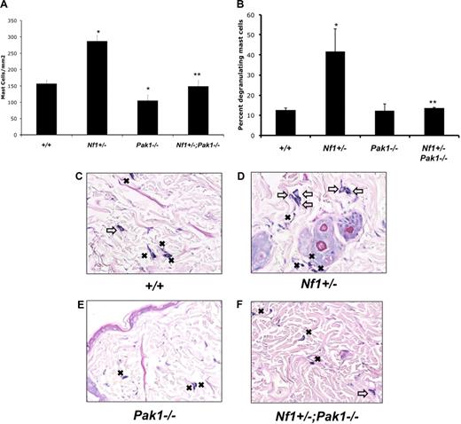 Figure 5. Effect of genetic inactivation of Pak1 on accumulation of cutaneous Nf1+/− mast cells in response to local administration of SCF in vivo. SCF was delivered in vivo via a micro-osmotic pump on the middorsum at 10 μg/kg per day. Skin sections at the site of SCF administration were fixed and stained with hematoxylin and eosin to assess routine histology along with Giemsa to identify mast cells. (A) Cutaneous mast cells were quantitated in a blinded fashion by counting 2-mm2 sections. (B) The percentage of degranulating mast cells present per 2-mm2 section was calculated. Representative sections are displayed in panels C to F. Resting mast cells in panels C to F are marked with ■; degranulating mast cells in panels C to F are marked with an open arrow. Values in panels A and B represent the mean of 3 independent experiments each using 3 mice per genotype, and error bars represent SEM. *P < .05 compared with WT control. **P < .05 compared with Nf1+/− control using Student unpaired t test. Images in panels C through F were obtained using a Nikon Eclipse 80i microscope (Tokyo, Japan) using a 10×/0.30 DIC L/N1 magnification and lens in an air medium with a QCapture 2.90.1 camera (QImaging, Surrey, BC).