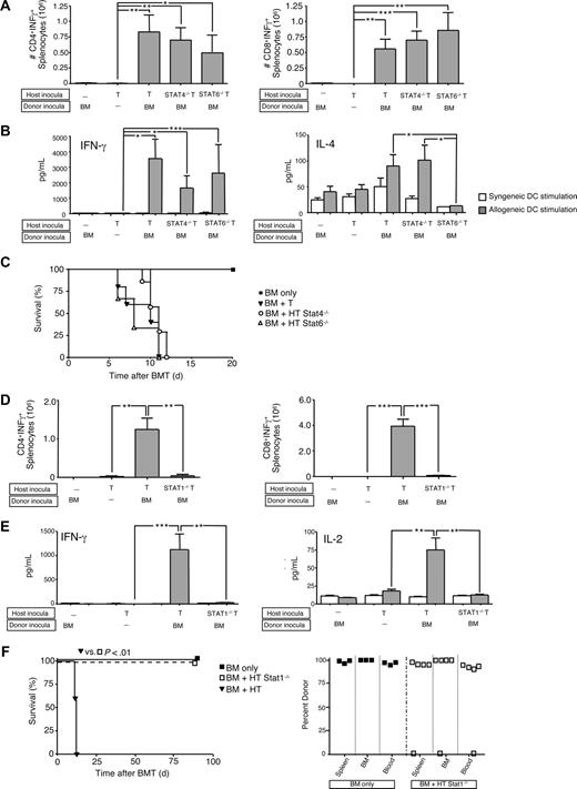 Figure 2. Graft rejection requires host T-cell expression of STAT1 but not STAT4 or STAT6. (A-C) B6-into-BALB/c transplantation consisted of lethal host irradiation (1050 cGy; day −2), and some combination, as indicated, of wild-type (WT; “HT”), STAT4-deficient (−/−), or STAT6−/− host T cells (T-cell dose, 106; day −1); and B6 donor BM cells (day 0). Results shown are mean plus or minus SEM of n = 5 to 10 per cohort. On day 8 after BMT, spleen cells were isolated and stimulated with syngeneic (BALB/c) or allogeneic (B6) DCs for 24 hours. The total number of host CD4+ and CD8+ cells producing allospecific IFN-γ was determined by flow cytometry (panel A). Resultant supernatants were tested for cytokine content (panel B; pg/mL). *P < .05; **P < .01; ***P < .001. Overall survival of recipient mice is shown (panel C). (D-F) BALB/c-into-B6 transplantation consisted of lethal irradiation (1100 cGy; day −2), and some combination, as indicated, of WT (“HT”) or STAT1−/− host T cells (T-cell dose, 106; day −1) and BALB/c donor BM cells (day 0). Results shown are mean plus or minus SEM of n = 5 to 10 per cohort. On day 8 after BMT, spleen cells were isolated and stimulated with syngeneic or allogeneic DCs; total number of host CD4+ and CD8+ cells producing allospecific IFN-γ was determined by flow cytometry (panel D) and resultant supernatants were tested for cytokine content (panel E; pg/mL). *P < .05; **P < .01; ***P < .001. (F) Overall survival is shown (left panel; n = 10 per cohort); day 90 after BMT donor chimerism in spleen, BM, and blood is shown (right panel).