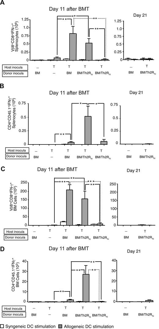 Figure 4. Donor Th2R cell abrogation of rejection reduces allospecific host T-cell effector function. BALB/c-into-B6 transplantation consisted of lethal irradiation (1100 cGy; day −2), and some combination, as indicated, of host T cells (day −1; 1:1 mix of 2C TCR-transgenic and CD45.1-congenic WT T cells; each population, 0.05 × 106 cells); and BALB/c donor BM cells with or without donor Th2R cells (day 0). The ratio of donor Th2 cells to host T cells was either 100:1 (“BM/Th2Rlo”) or 500:1 (“BM/Th2Rhi”). On days 11 and 21 after BMT, spleen, and BM cells were isolated and stimulated with syngeneic (B6) or allogeneic (BALB/c) DCs for 24 hours. The total number of host Vβ8+CD8+ cells or CD4+CD45.1+ cells producing allospecific IFN-γ in the spleen (panels A and B, respectively) and BM (panels C and D, respectively) was evaluated by flow cytometry at both day 11 after BMT (left panels) and day 21 after BMT (right panels). Results shown are mean plus or minus SEM of n = 10 per cohort. *P < .05; **P < .01; ***P < .001.