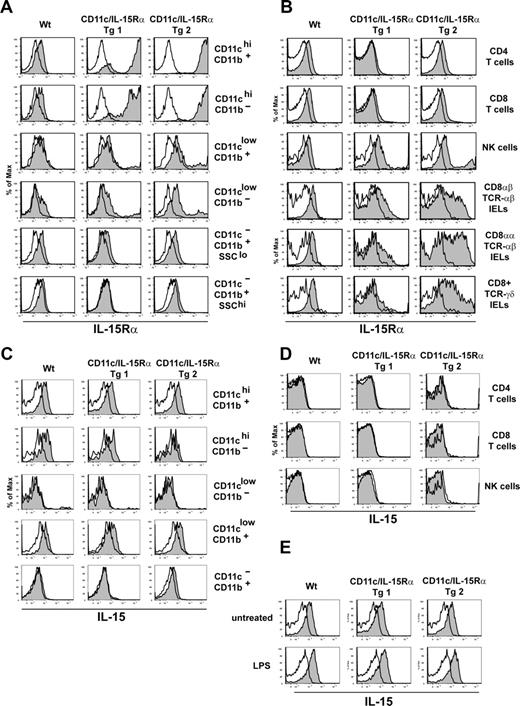Figure 1. Expression of IL-15 and IL-15Rα in CD11c-IL-15Rα Tg mice. (A) Histograms show IL-15Rα expression on myeloid subsets in Wt, CD11c-IL-15Rα Tg-1 and Tg-2, and IL-15Rα−/− mice after gating on lineage-negative (CD3, CD19, DX5) splenocytes. Filled histograms indicate IL-15Rα staining on indicated populations, open histograms represent staining of the same population from IL-15Rα−/− mice. (B) Histograms show IL-15Rα staining on the respective lymphoid populations: top 3 panels are CD4+TCRαβ+, CD8+TCRαβ+, NK1.1+-TCRαβ− cells from the spleen; bottom 3 panels show respective IEL populations. (C,D) Splenocytes (107) from Wt, CD11c/IL-15Rα Tg-1, Tg-2, and IL-15−/− mice were cultured overnight in CM prior to staining. Filled histogram indicates IL-15 staining, the open histogram represents staining of the same cells from IL-15−/− mice. Histograms in panel C were first gated on lineage-negative cells as in panel A. (E) Splenocytes were treated as in panel C, in the absence or presence of 1 μg/mL LPS. IL-15 staining was determined after gating on CD11chi CD11b+ cells.