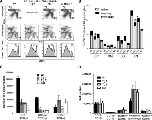 Figure 2. Phenotype of CD8 T cells as a function of CD11c-driven IL-15Rα expression. Lymphocytes from thymus, spleen (SP), lymph node (LN), lung (LG), and bone marrow (BM) were isolated from the mice indicated (6-8 weeks old) and stained for cell-surface markers to identify differences in T-cell populations. (A) Representative flow cytometry plots from thymus and spleen. (B) The percentage of CD8 T cells along with the proportion of naive (CD44low) and memory-phenotype (CD44hi) in various tissues. Results are averages with n = 10 mice/group for Tg-1. For Tg-2, n = 8 for spleen and n = 2 for other tissues. § represents a significant difference between naive T cells in Tg and Wt (P < .05), whereas * indicates differences between memory phenotype in Tg and Wt (P < .05). (C) The number of each IEL population recovered from small intestine of the indicated mice. Error bars represent standard deviation (SD) from a representative experiment; values from Tg mice are not significantly different than those from IL-15Rα−/− mice. (D) Total numbers of myeloid populations in the spleen of the indicated mice. Error bars represent SD, n = 2, for one representative experiment.
