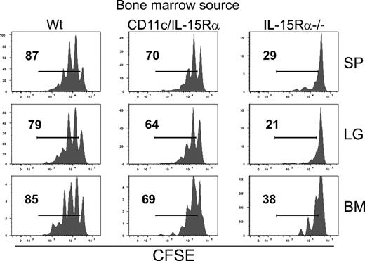 Figure 5. Contribution of CD11c− hematopoietic cells in memory CD8 T-cell homeostasis. BM cells were isolated from IL-15Rα−/−, CD11c-IL-15RαTg-1, and Wt mice (all CD45.2+) and transferred into lethally irradiated Wt hosts (CD45.1+). CD8 T cells were isolated from VSV-infected Thy1.1+ cells, labeled with CFSE, and transferred into the various BM chimeras after lymphocyte reconstitution (between 8 and 12 weeks after BM transfer). Six weeks after transfer, CFSE dilution of donor cells was measured.