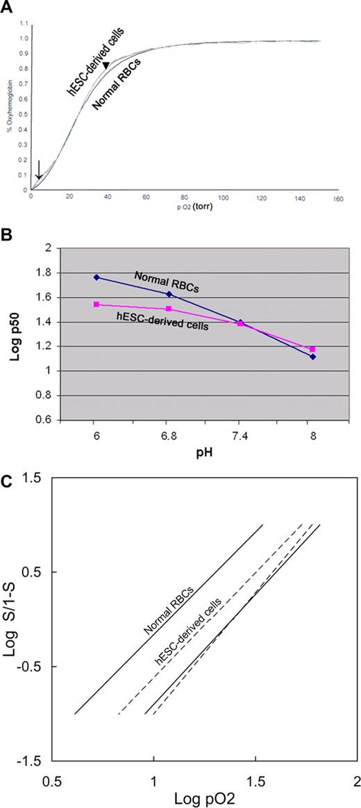 Figure 2. Functional characterization of hESC-derived erythroid cells. (A) Oxygen equilibrium curves of normal human RBCs and human ESC-derived erythroid cells. The 2 curves are virtually indistinguishable at their midpoints, whereas the curve of human ESC-derived erythroid cells is leftward shifted at low (→) and high (▾) oxygen saturation percentages. (B) The Bohr effect. (C) Effects of 2,3-DPG depletion. The solid lines represent the normal RBC control; dashed lines, the human ESC-derived erythroid cells. For each pair, the line on the right represents the fresh cells and the one to the left is the curve from cells depleted of 2,3-DPG.