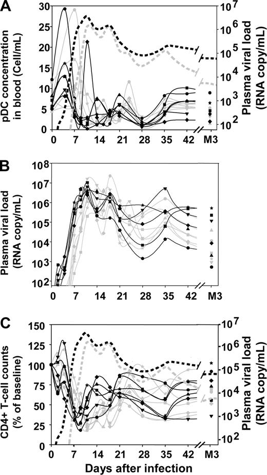 Figure 1. Changes in blood pDC counts, plasma viral load, and blood CD4+ T-cell counts over time after inoculation with SIVmac251. Absolute counts of pDCs in the blood (A), plasma viral loads (B), proportion of CD4+ T cells with respect to baseline (C). Solid gray lines in panels A, B, and C: macaques infected with 50 AID50; solid black lines in panels A, B, and C: macaques infected with 5000 AID50; dotted gray lines in panels A and C: median plasma viral load of the 50 AID50 group; dotted black lines in panels A and C: median plasma viral load of the 5000 AID50 group.