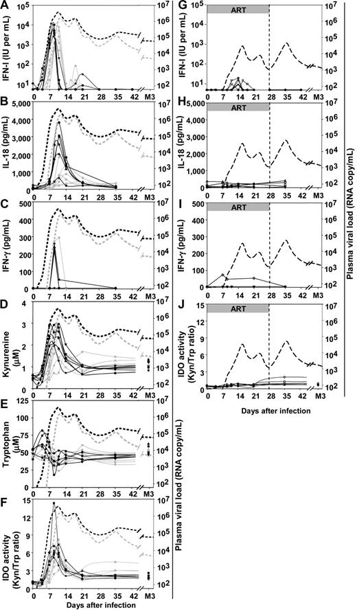 Figure 4. Changes in plasma concentration of different soluble factors over time after inoculation with SIVmac251 in untreated and ART-treated macaques. Untreated macaques: (A) IFN-I, (B) IL-18, (C) IFN-γ, (D) kynurenine, (E) tryptophan, (F) kynurenine:tryptophan ratio. Solid gray lines: macaques infected with 50 AID50; solid black lines: macaques infected with 5000 AID50. Dotted lines in panels A to F: median plasma viral load of the 50 AID50 group (gray) and 5000 AID50 group (black). Macaques that received post-exposure ART: (G) IFN-I, (H) IL-18, (I) IFN-γ, (J) tryptophan and kynurenine ratio. Dotted lines in panels G to J: median plasma viral load of the 50 AID50+ART group. Duration of ART treatment is indicated by a gray horizontal bar.