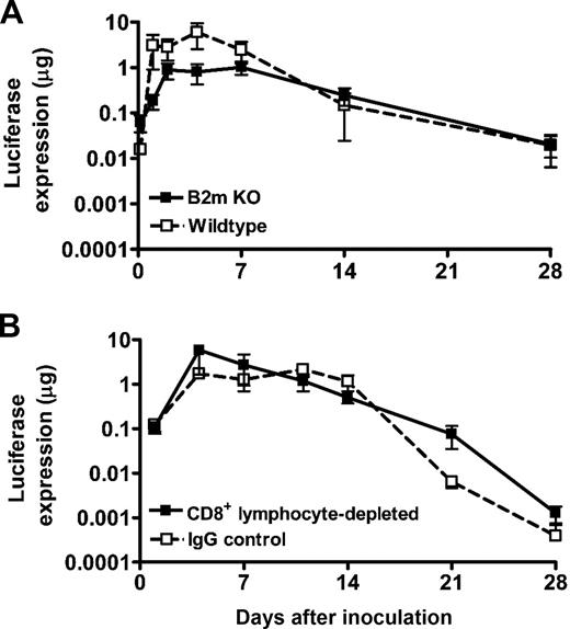 Figure 2. Damping of luciferase expression from a plasmid DNA vaccine construct does not require beta-2-microglobulin or CD8+ T cells. (A) Luciferase expression in vaccinated wild-type and beta-2-microglobin knockout (β2m KO) mice. Wild-type and β2m KO mice were inoculated with plasmid DNA-Luc (n = 4), and luciferase expression in vivo was measured by IVIS imaging. (B) Luciferase expression in vaccinated wild-type and CD8+ T-cell-depleted mice. CD8+ T cells were depleted by administration of anti-CD8 antibody 3 days before and every third day after plasmid DNA-Luc inoculation for a 28-day period, and in vivo luciferase expression was measured. The line graphs represent mean values; error bars represent SEM.