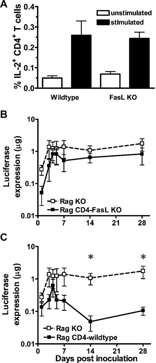 Figure 5. Both wild-type and FasL KO mice have comparable luciferase-specific CD4+ T-cell responses after plasmid DNA-Luc inoculation, but only adoptively transferred primed wild-type CD4+ T cells damp luciferase expression. (A) CD4+ T-cell activation in wild-type and FasL KO mice that were inoculated with plasmid DNA-Luc. Splenocytes from these mice were stimulated with a pool of luciferase peptides for 6 hours, and CD4+ T-cell responses were measured by intracellular anti-IL-2 antibody staining and flow cytometric analysis. (B) Luciferase expression in Rag KO mice without adoptive transfer (Rag KO) and Rag KO mice adoptively transferred with CD4+ T cells obtained from FasL KO (Rag CD4-FasL KO) mice. (C) Luciferase expression in Rag KO mice without adoptive transfer (Rag KO) and Rag mice adoptively transferred with CD4+ T cells obtained from wild-type (Rag CD4-wild-type) mice. For adoptive transfer studies, CD4+ T cells from wild-type and FasL KO mice were obtained each 14 days after plasmid DNA inoculation, and 107 CD4+ T cells were adoptively transferred into Rag KO mice. The mice were then inoculated with the plasmid DNA-Luc vaccine construct, and luciferase expression in vivo was monitored by IVIS imaging. The line graphs represent mean values; error bars represent SEM. Statistically significant differences at specific times were determined by the Mann-Whitney test. *Significant difference (P < .05).