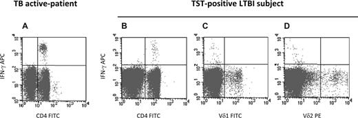Figure 1. ESAT-6 protein induces αβ but not γδ T cells' response in active TB patients and TST-positive LTBI subjects. Peripheral blood mononuclear cells (PBMCs) from a representative active TB patient (A) and a representative TST-positive LTBI subject (B-D) were stimulated with ESAT-6 protein (5 μg/mL; Lionex, Braunschweig, Germany) in presence of anti-CD28 monoclonal antibody (1 μg/mL; BD Biosciences, San Jose, CA). To detect intracellular expression of IFN-γ, brefeldin-A (Sigma-Aldrich, St Louis, MO) at 10 μg/mL was used. After overnight stimulation, cells were stained with CD4-peridinin chlorophyll protein (PerCP), Vδ2-phycoerythrin (PE), Vδ1-fluorescein isothiocyanate (FITC), IFN-γ allophycocyanin (APC) anti–human conjugated monoclonal antibodies (BD Biosciences). For all staining procedures, an isotype-matched negative control was used. Data acquisition and analysis were performed using a FASCalibur flow cytometer and CellQuest software (both BD Biosciences).