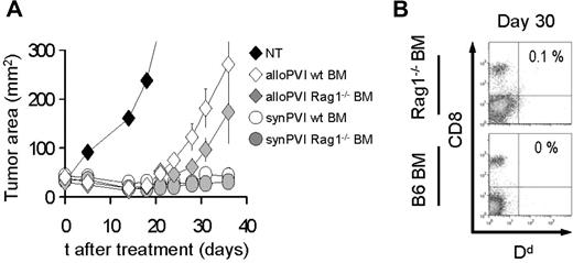 Figure 5. Bone marrow–derived lymphocytes are not necessary for allogeneic effector cell rejection. (A) C57BL/6 mice bearing B16 tumors were irradiated with 9 Gy TBI and injected on day 0 with 106 allogeneic pmel-1b/d cells, vaccinia virus encoding hgp100, and exogenous rhIL-2 (alloPVI) or with 106 syngeneic pmel-1b/b cells, vaccinia virus encoding hgp100, and exogenous rhIL-2 (synPVI). On the day after cell transfer, the mice received syngeneic BMT with 106 unsorted bone marrow cells derived either from wild-type animals (wt BM) or Rag1−/− (Rag1−/− BM) animals. Results of tumor area are the mean of measurements of at least 5 mice per group (± SEM). Data are representative of 2 independent experiments. (B) After 30 days, mice that received allogeneic effector cells were killed, and the spleens were analyzed by flow cytometry for the presence of the transferred cells. Allogeneic CD8+ H-2d+ cells were undetectable at day 30 in both allogeneic PVI groups independently of the type of bone marrow cells they received.