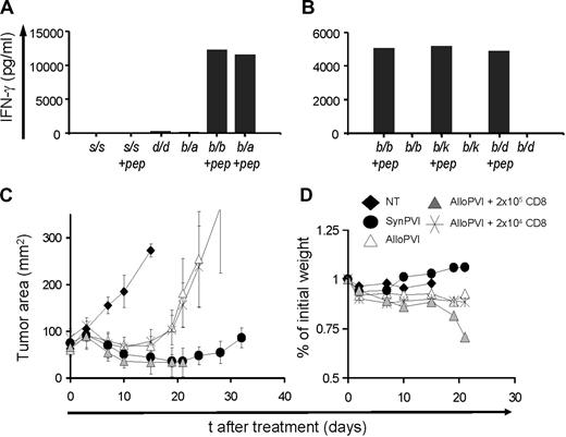 Figure 6. GVHD-like reactions are doubtful when the TCR repertoire is limited. (A,B). C57BL/6–pmel-1 (H-2b/b) cells were stimulated with the relevant peptide and cultured for 1 week in IL-2 and subsequently challenged in overnight cocultures against irradiated splenocytes derived from different inbred mouse strains (SJL, H-2s/s and DBA, H-2d/d) and F1 mice (B6-A F1, H-2b/a; B6-C3H F1, H-2b/k; and B6-BALB/c F1, H-2b/d) displaying different allogeneic MHC haplotypes in the presence or the absence of the relevant peptide gp10025-33 (+ pep). Syngeneic C57BL/6 H-2b/b irradiated splenocytes in the presence or the absence of the relevant gp10025-33 peptide were used as positive and negative controls, respectively. Panels A and B are representative of 2 independent experiments. (C) pmel-1 cells were generated on a B6-C3H F1 background (H-2b/k) and used in combination with vaccinia virus encoding hgp100 and exogenous rhIL-2 to treat B16 tumors established for 10 days in either B6-C3H F1 (SynPVI) or in B6-DBA F1 mice (H-2d/b) (AlloPVI). All groups were irradiated with 9 Gy TBI and given autologous BMT. Some groups also received different doses (104 or 105) of open repertoire B6-C3H F1 CD8+ naive T cells in conjunction with pmel-1 cells, vaccine, and rhIL-2 (AlloPVI + 105 CD8 and AlloPVI + 104 CD8). Results of tumor area are the mean of measurements of at least 5 mice per group (± SEM). Data are representative of 2 independent experiments. (D) Percentage of initial weight of mouse groups is shown.