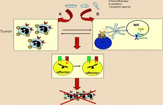Best case scenario for anticancer therapy with respect to immune effectors. The cytostatic or cytotoxic agent should (A) stimulate a cell-autonomous response that facilitates recognition (and ultimately lysis) of tumor cells by immune effectors and (B) have immunostimulatory “side effects” on the host that boost the innate and/or cognate immune anticancer response. The incapacity to mediate such effects or worse, immunosuppressive side effects, can entail therapeutic failure.