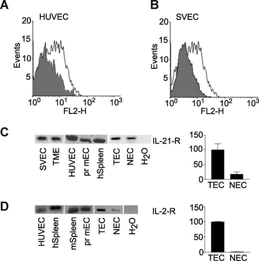 Figure 2. IL-21 receptor α-chain is expressed by endothelial cells. (A) FACS analysis of human umbilical vein-derived endothelial cells (HUVECs) stained for IL-21-R α-chain (white), conjugate control is represented by gray histogram. (B) SVEC4–10 stained for IL-21-Rα. (C) mRNA expression of IL-21-Rα mouse endothelial cell lines SVEC and TME in primary (pr) human (h) and mouse (m) endothelial cells, and freshly isolated human tumor (TEC) and normal endothelial cells (NECs).39 (D) mRNA expression of IL-2-Rα in primary human, primary mouse, and freshly isolated human tumor and normal endothelial cells. Positive control is spleen tissue; negative control is no template in the PCR reaction (H2O).