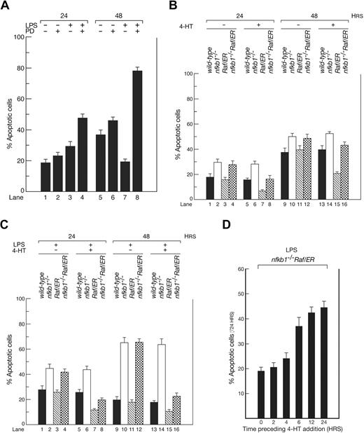 Figure 4. ERK activation protects LPS-activated B cells from apoptosis. (A) wt B cells (> 99% viable at T0) were untreated or stimulated for 24 and 48 hours with LPS in the absence or presence of PD98059. The frequency of apoptotic cells was determined at each time point. The data represent the mean plus or minus SEM from 4 experiments. (B,C) wt or nfkb1−/− B cells transduced with control or Raf/ER-expressing retroviruses left untreated or stimulated for 48 hours with LPS in the absence or presence of 4-HT. Apoptosis was assessed at 24 and 48 hours. (B) Levels of spontaneous apoptosis. (C) Levels of LPS-induced apoptosis. Both sets of data represent the mean plus or minus SD from 4 separate experiments. (D) Apoptosis in cultures of LPS-treated nfkb1−/− B cells expressing Raf/ER activated with 4-HT 0, 2, 4, 6, 12, or 24 hours after initiating TLR4 signaling. Results are the mean plus or minus SD from 3 experiments.