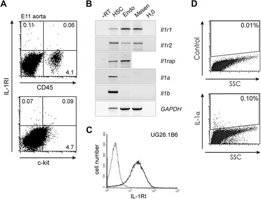 Figure 3. IL-1RI is expressed by cells in the E11 region aortic hematopoietic, endothelial, and mesenchymal cells. (A) Representative flow cytometric dot plots showing E11 aorta cells (n = 4) stained with antibodies specific for IL-1RI and CD45 (top panel) or c-kit (bottom panel). Percentages of cells in each quadrant are indicated; 3 to 3.6 × 104 events are shown, and more than 5 × 104 events were analyzed. (B) RT-PCR analysis for IL-1R and ligand expression in sorted HSCs (CD34+c-kit+), endothelial cells (CD45−VE-cadherin+; Endo), and presumed mesenchymal cells (CD45−VE-cadherin−; Mesen) from the E11 aorta. Glyceraldehyde-3-phosphate dehydrogenase (GAPDH) expression serves as the normalization control. −RT indicates no reverse transcriptase control. (C) Flow cytometric analysis of IL-1RI expression on UG26-1B6 stromal cells. X-axis indicates intensity of fluorescent signal from staining with IL-1RI–specific antibody; y-axis indicates the number of cells. (D) Intracellular flow cytometric dot plots showing control antibody (top panel) and anti–IL-1α antibody (bottom panel) staining in E11 AGM cells. Boxed areas indicate percentage positive cells.