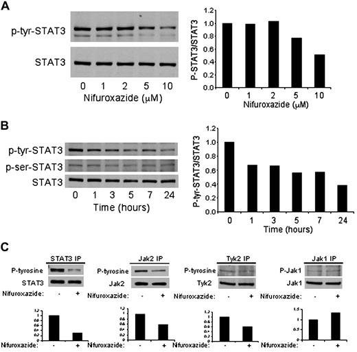 Figure 2. Nifuroxazide inhibits STAT3, Jak2, and Tyk2 tyrosine phosphorylation. (A) U266 cells were incubated with the indicated concentration of nifuroxazide for 24 hours, after which whole-cell lysates were prepared, and Western blot analysis was performed using antibodies specific for tyrosine-phosphorylated STAT3 (p-tyr STAT3) and total STAT3. (B) U266 cells were incubated for the indicated times with 10 μM nifuroxazide. Western blots were performed for tyrosine-phosphorylated STAT3, serine-phosphorylated STAT3 (p-ser STAT3), and total STAT3. (C) INA6 cells were incubated with 10 μM nifuroxazide or vehicle for 6 hours, after which immunoprecipitation was performed followed by Western blotting with the indicated antibodies. Quantitation of bands is shown for each panel.