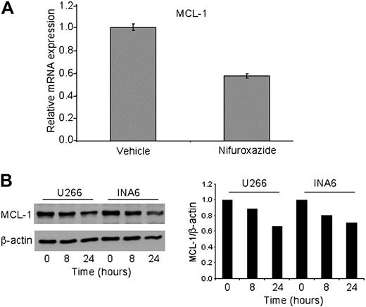 Figure 3. Nifuroxazide reduces the expression of Mcl-1. (A) U266 cells were treated with 10 μM nifuroxazide for 24 hours, and Mcl-1 mRNA expression was quantitated by quantitative reverse-transcription (RT)–PCR, using HPRT as an invariant control. (B) U266 and INA6 cells were treated with 10 μM nifuroxazide for the indicated times, and Western blot analysis was performed using antibodies to Mcl-1 or β-actin, which served as a loading control. Quantitation of the Western blot is shown at right.
