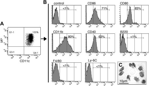 Figure 1. Characterization of the sorted CD11c+ splenic DCs. Conventional CD11c+ cells were FACS sorted from the spleen of 5-week-old C57BL/6 normal mice. (A) Flow cytometric analysis revealed that they are pure (100%) and coexpress CD11c and the MHC-II protein IAb. (B) Phenotypic analysis of the sorted CD11c+ cells by flow cytometric analysis. Percentage of cells with fluorescence intensity over the dashed vertical lines, corresponding to the upper limit of control background staining, is indicated. (C) May-Grunwald-Giemsa staining of the sorted cells after cytospin revealed the typical phenotype of splenic cDCs.