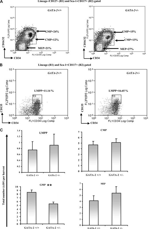 Figure 2. Reduction in the number of immunophenotypically defined GMPs from GATA-2+/− marrow. Bone marrow–nucleated cells from each genotype were lineage depleted using magnetic bead separation and lineage-negative–enriched cells were stained with various cell-surface antibodies to enable isolation of immunophenotypically defined progenitor subsets by flow cytometry. Representative flow cytometry plots for (Lin/CD127−CD117+Sca-1−CD34+CD16/32high) GMP, (Lin/CD127−CD117+Sca-1−CD34+CD16/32lo) CMP, and (Lin/CD127−CD117+Sca-1−CD34−CD16/32−) MEP isolation are shown (A) and for (Lin−CD117+Sca-1+Flt-3+CD34+) LMPP (B). The percentages for each gate are shown. The absolute number of LMPP, CMP, GMP, and MEP progenitors produced per harvest from multiple experiments is depicted (C) (LMPP, n = 4, P = .38; CMP, n = 9, P = .15; GMP, n = 9, P < .001<; and MEP, n = 9, P = .1). ** indicates statistical significance. Error bars indicate SEM. Statistical analysis was performed by using the paired Student t test.